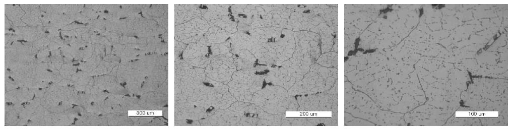 냉간압연 후 미세조직 - 내부