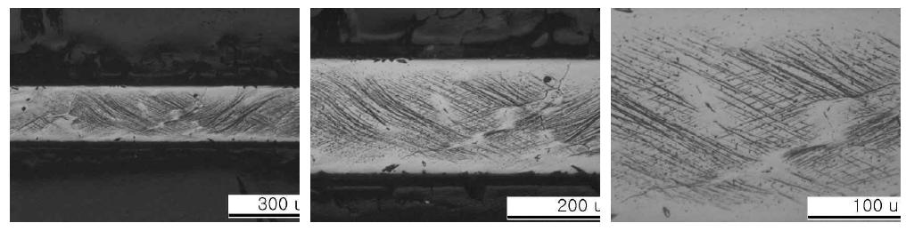 냉간압연 후 미세조직 - 단면