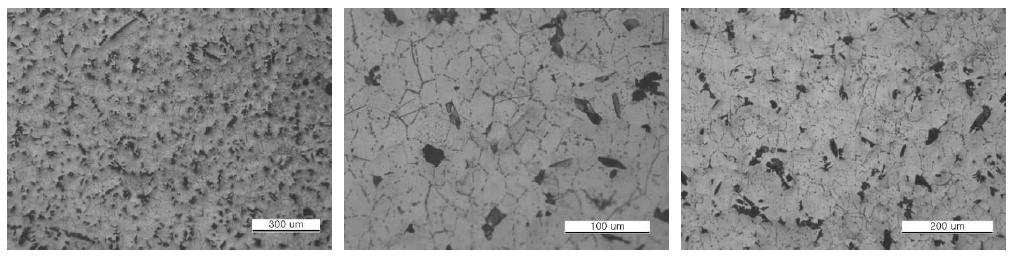 풀림 열처리 후 미세조직 - 내부