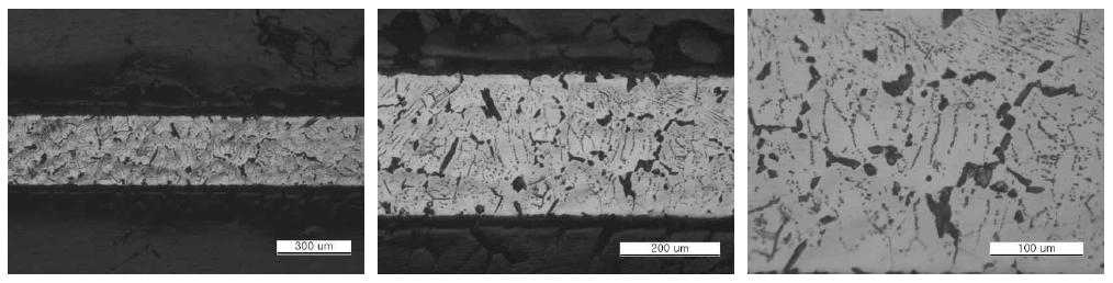 풀림 열처리 후 미세조직 - 단면