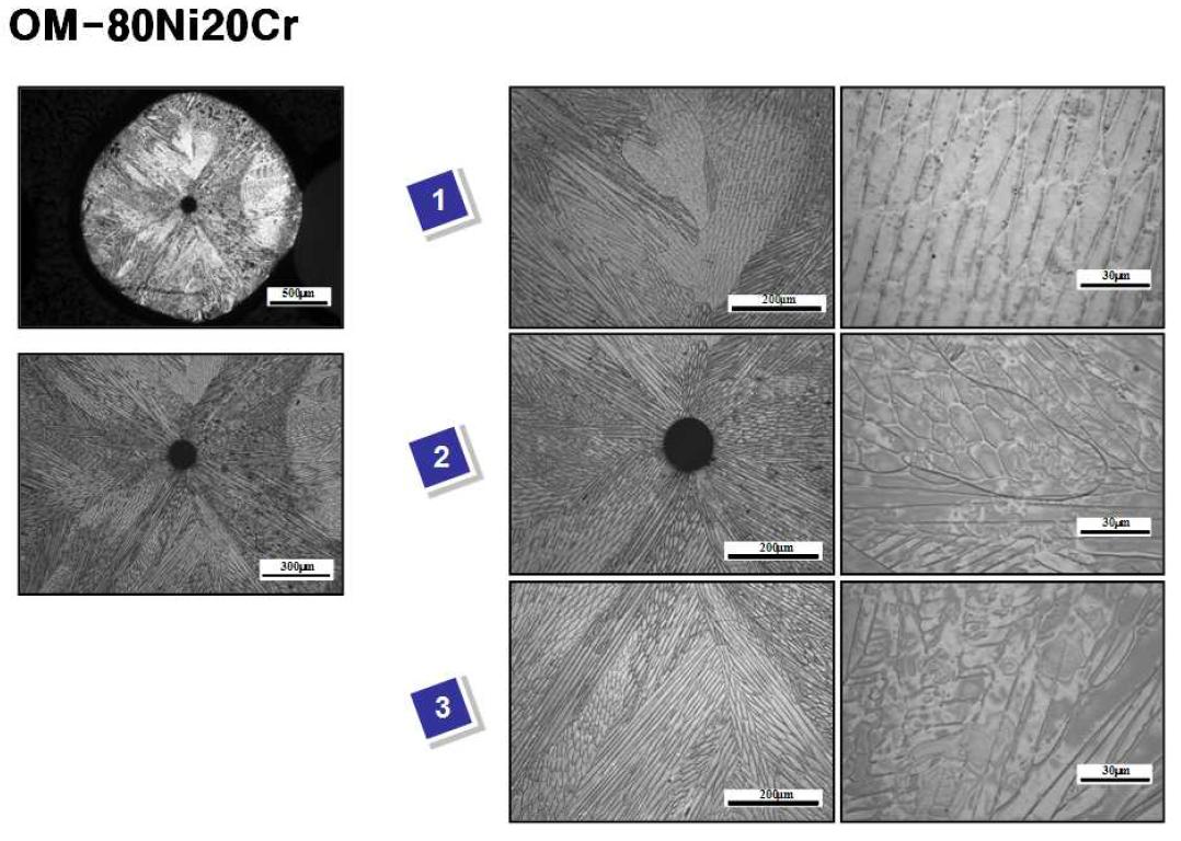 80Ni-20Cr 합금의 광학조직사진