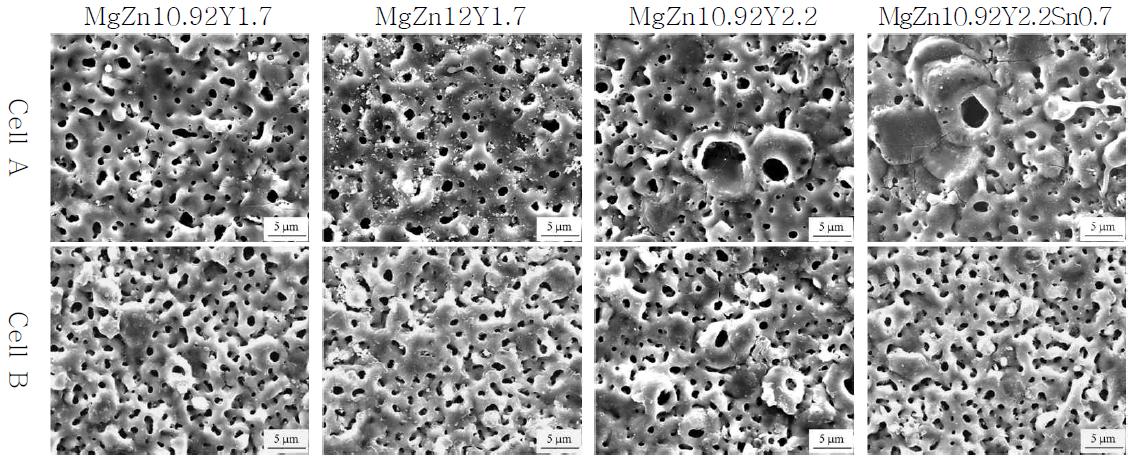 서로 다른 시편 조성을 각각 Cell A, B에서 플라즈마 전해산화 처리한 표면 SEM 사진
