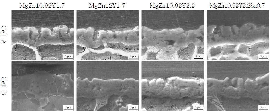 서로 다른 시편 조성을 각각 Cell A, B에서 플라즈마 전해산화 처리한 단면 SEM 사진