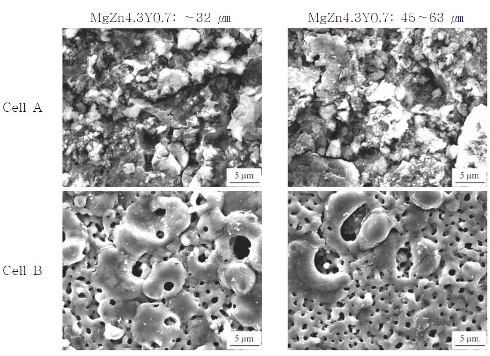 Cell A, B에서 각각 플라즈마 전해산화 처리한 입자의 크기가 다른 마그네슘 SPS성형재의 표면 SEM 사진