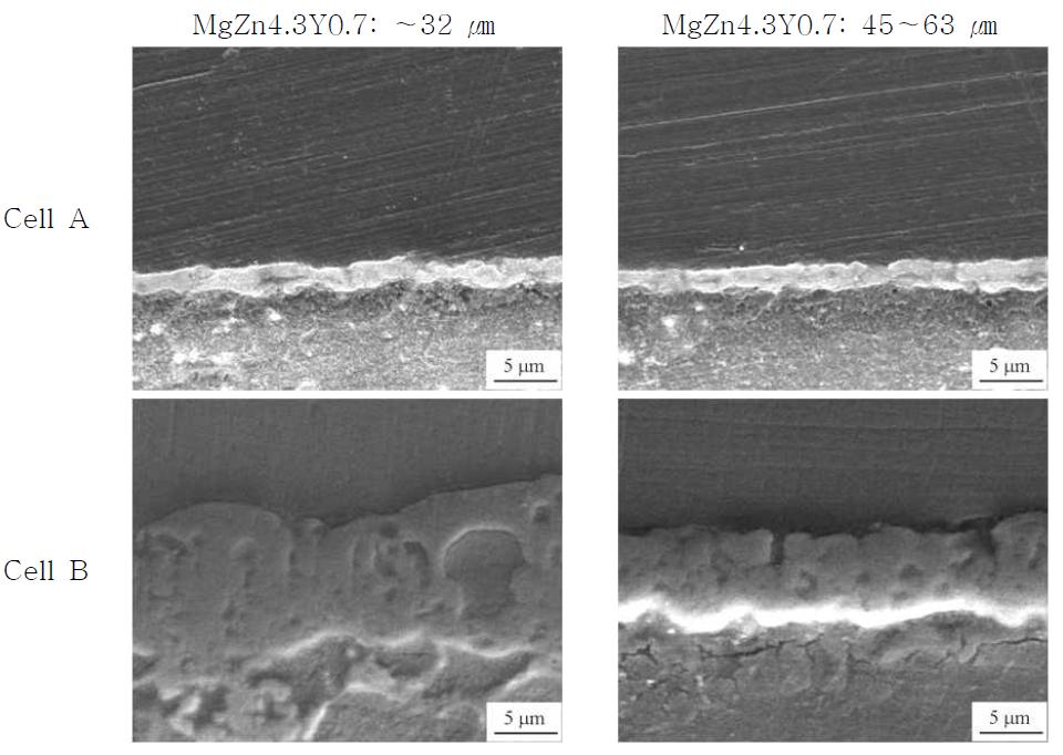 Cell A, B에서 각각 플라즈마 전해산화 처리한 입자의 크기가 다른 마그네슘 SPS성형재의 단면 SEM 사진