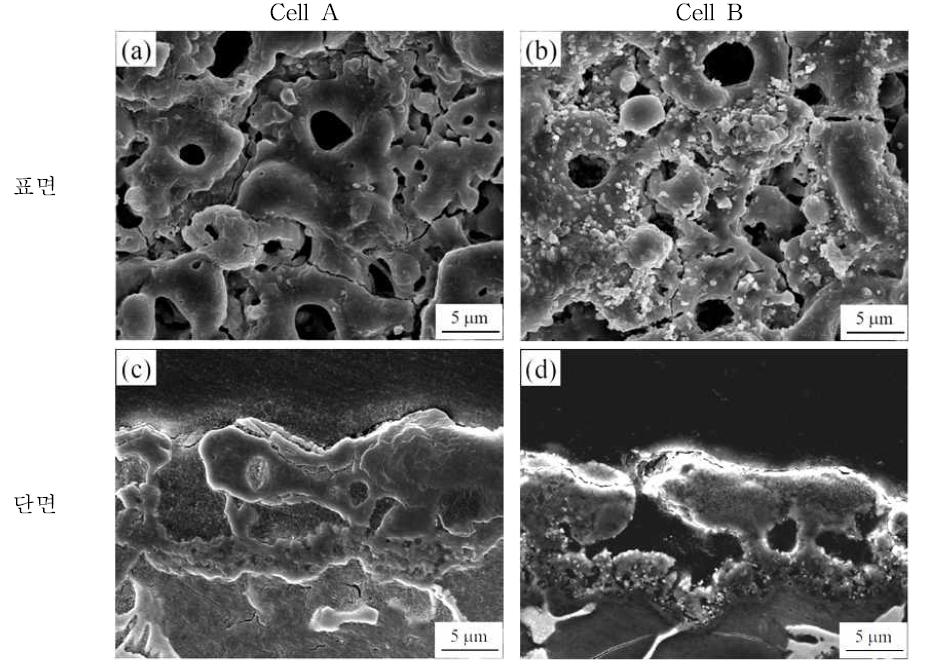 Cell A와 B에서 각각 플라즈마 전해 산화 공정 처리된 마그네슘 합금의 표면 및 단면 사진