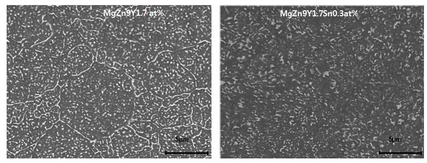 Mg-Zn-Y과 Mg-Zn-Y-Sn 합금의 SEM 조직사진