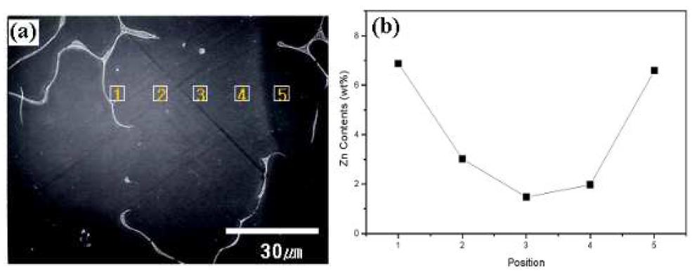 Mg-4Zn-0.8Y 합금의 주조 SEM 이미지와 (b) 위치에 따른 EDX에 의한 Zn 농도