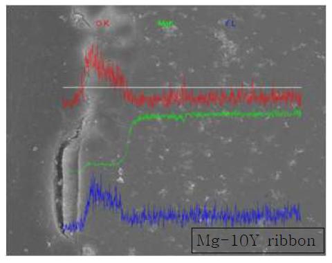 0.1M NaCl 수용액의 Mg-10Y 합금의 부식 후 단면 Profile 분석