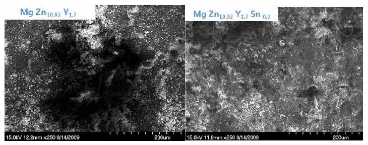 급속응고로 제조된 Mg-11Zn-1.7Y과 Mg-11Zn-1.7Y-0.3Sn합금을 3.5% NaCl 수용액에서 2시간동안 침지실험 후 주사전자 현미경 관찰