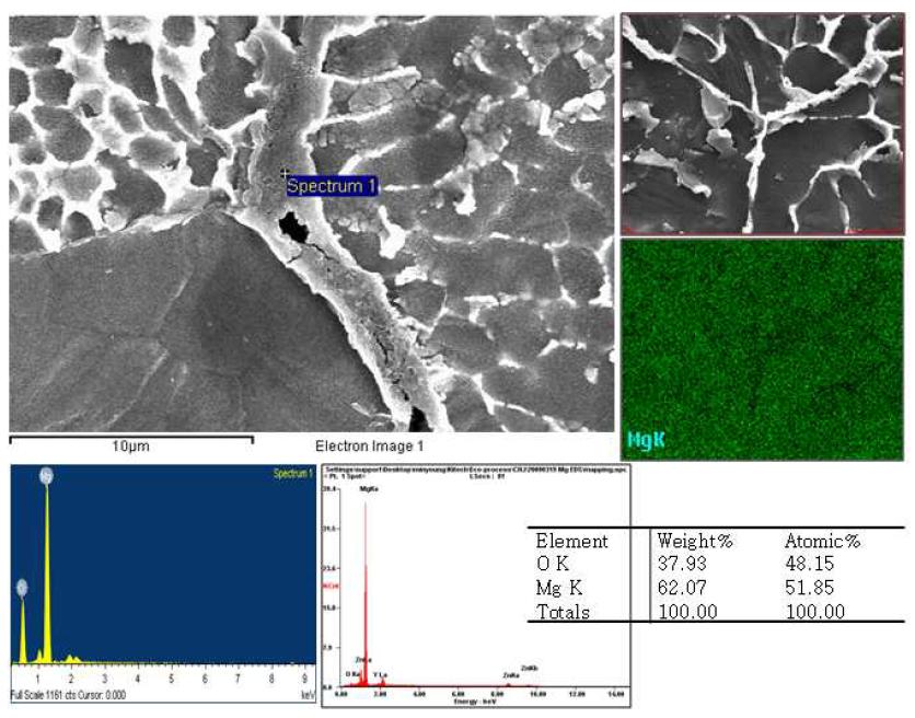 EDS분석을 이용한 MPCed Mg성형체의 계면성분분석