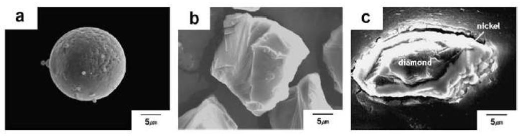 브론즈 및 다이아몬드 분말의 주사 전자현미경 (scanning electron microscopy: SEM 이미지: (a) 브론즈 분말, (b) 다이아몬드 분말, (c) Ni thin layed 다이아몬드 분말의 단면 사진
