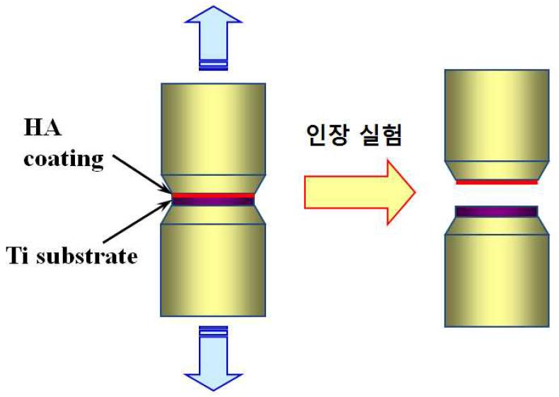 [보고서]에어로졸 데포지션에 의한 복잡형상 의료산업부품 기능성코팅 양산기술 개발