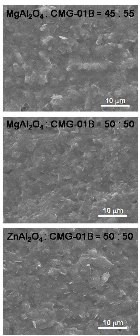 MgAl2O4 및 ZnAl2O4를 필러로 적용한 밀리미터파용 조성물에 대한 875oC-2h 소결체의 파단면 SEM 사진.