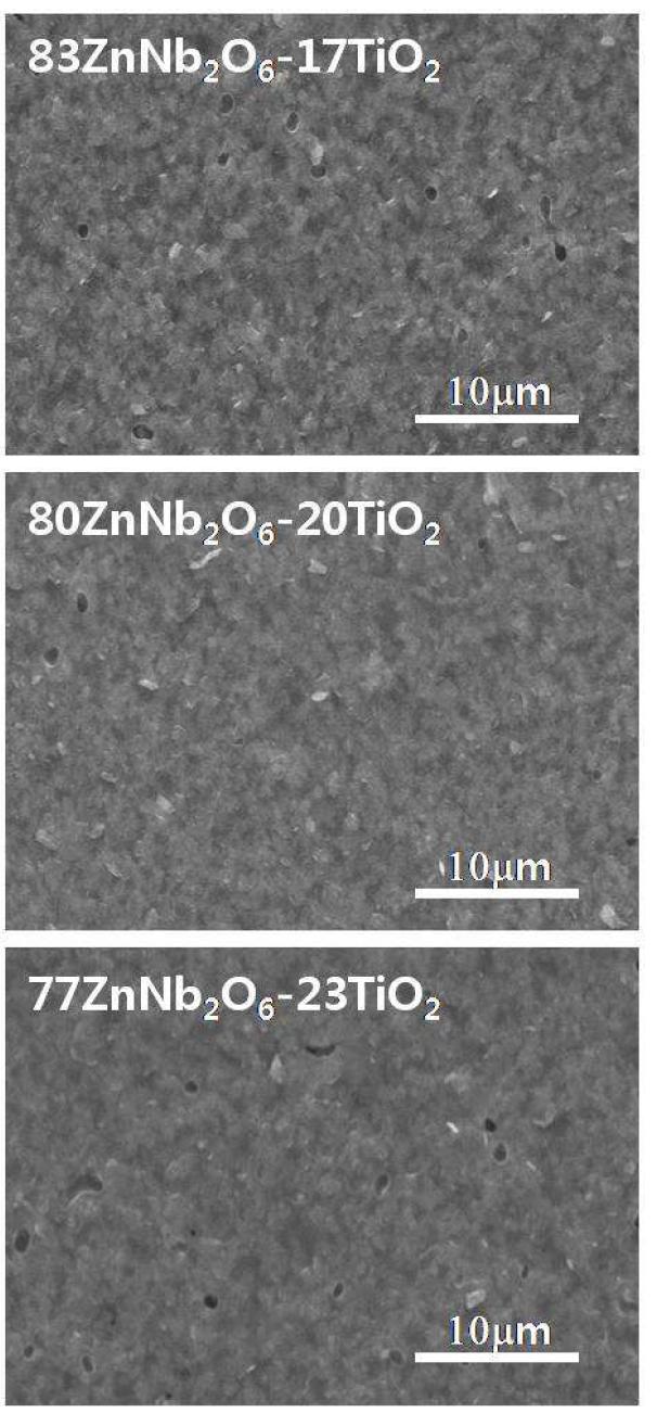 ZnNb2O6-TiO2계를 충진재로 하는 고유전율 조성에 대한 875oC-2h 소결체의 파단면에 대한 미세구조 SEM 사진.