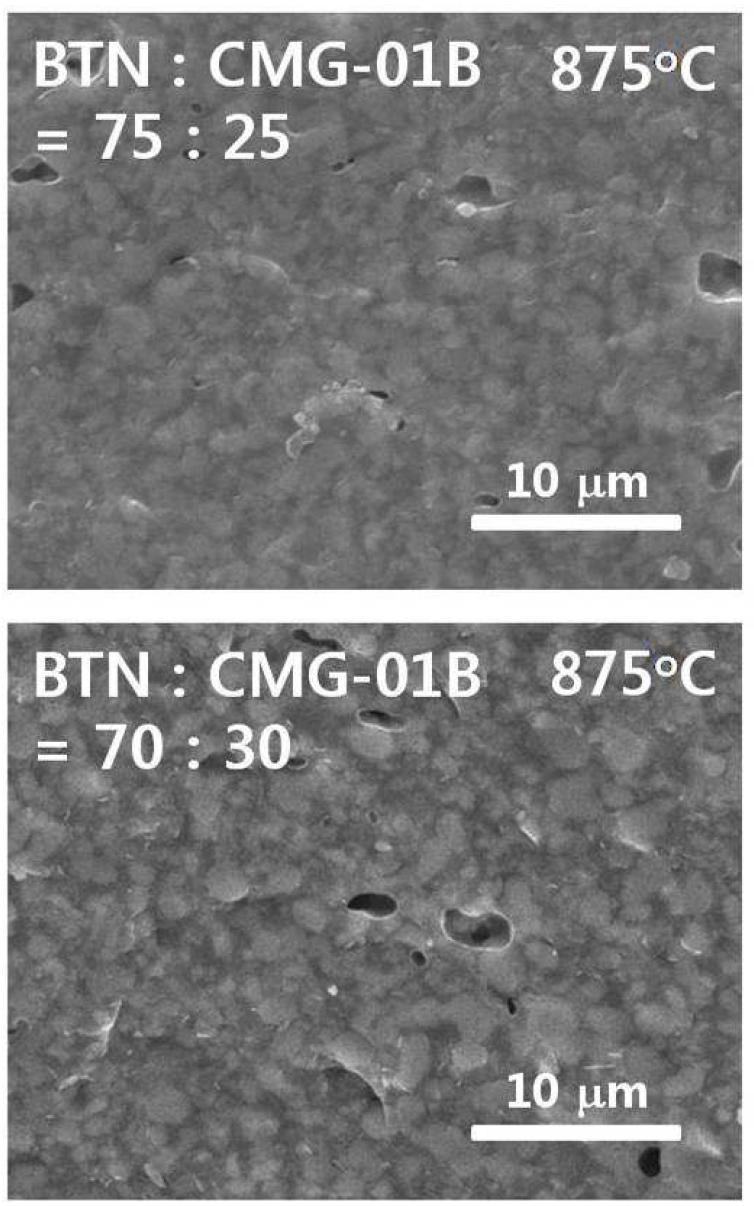 Ba3Ti4Nb4O21를 충진재로 하는 고유전율 조성의 875oC-2h 소결체의 파단면에 대한 미세구조 SEM 사진.