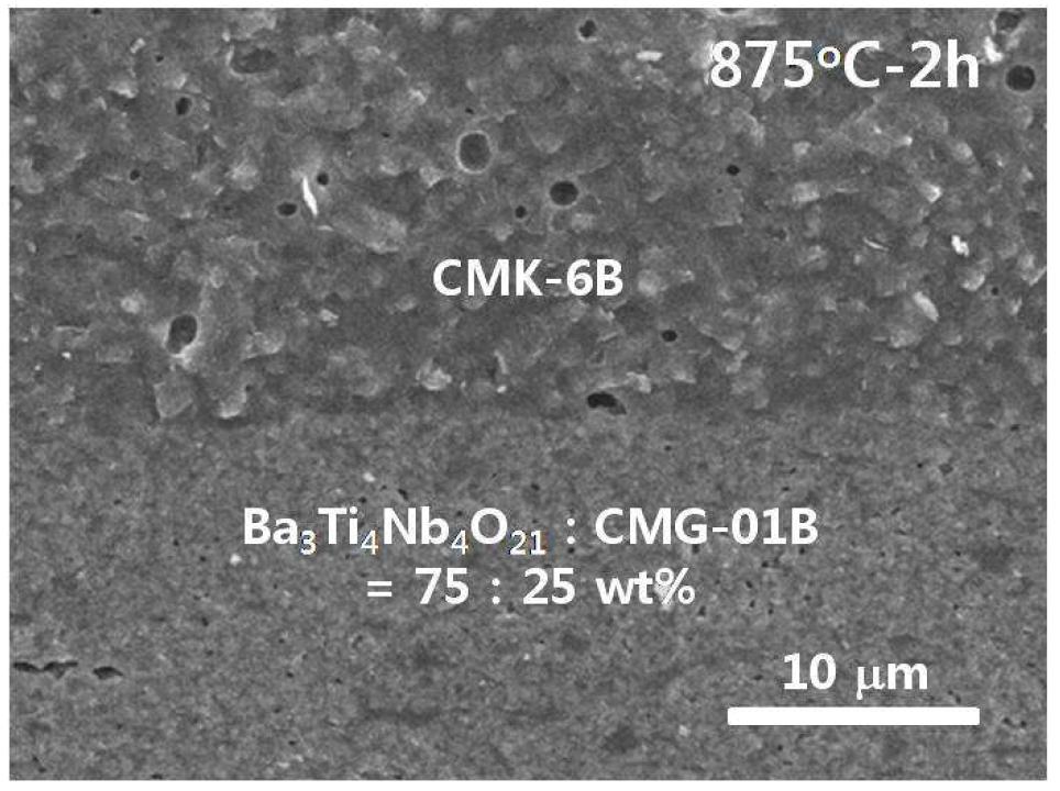 저유전율 CMK-6B와 고유전율 BTN 조성을 샌드위치 구조로 적층하여 875oC에서 2 시간 동안 소결한 소결체의 파단면에 대한 SEM 사진.