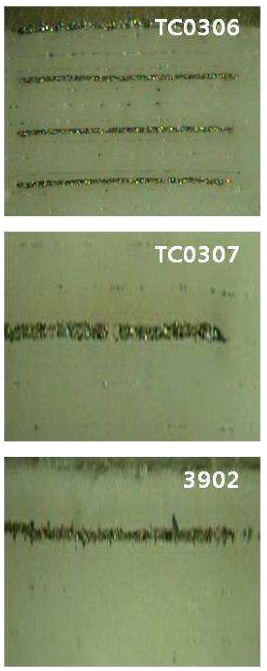 세 종류의 Ag paste를 각각의 내부 전극으로 적용한 자기구속 무수축 소결체의 단면 사진.