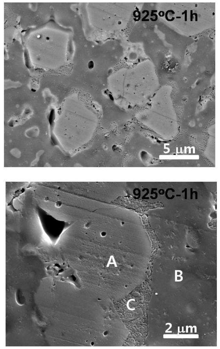 DW-14 유리 프리트의 925oC-1h 소결체에 대한 소결 미세구조 SEM 사진.