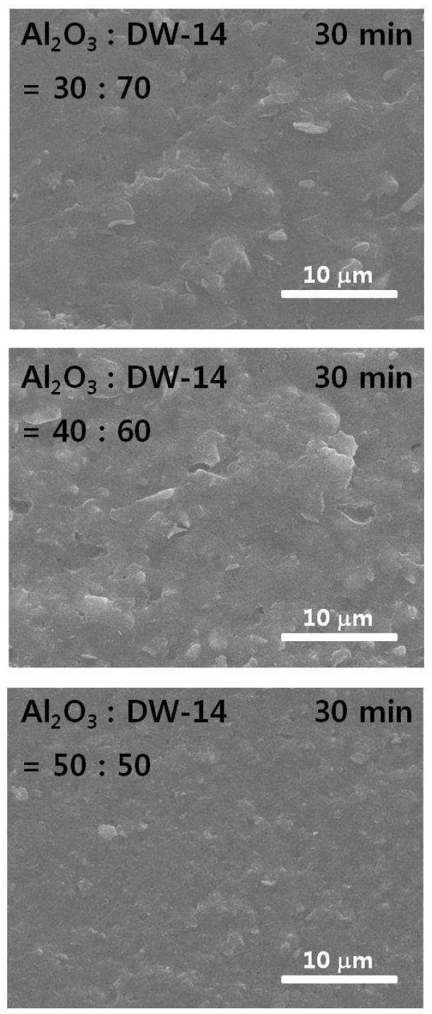 825oC에서 30분 동안 소결한 시편들의 파단면 소결 미세구조 SEM 사진.