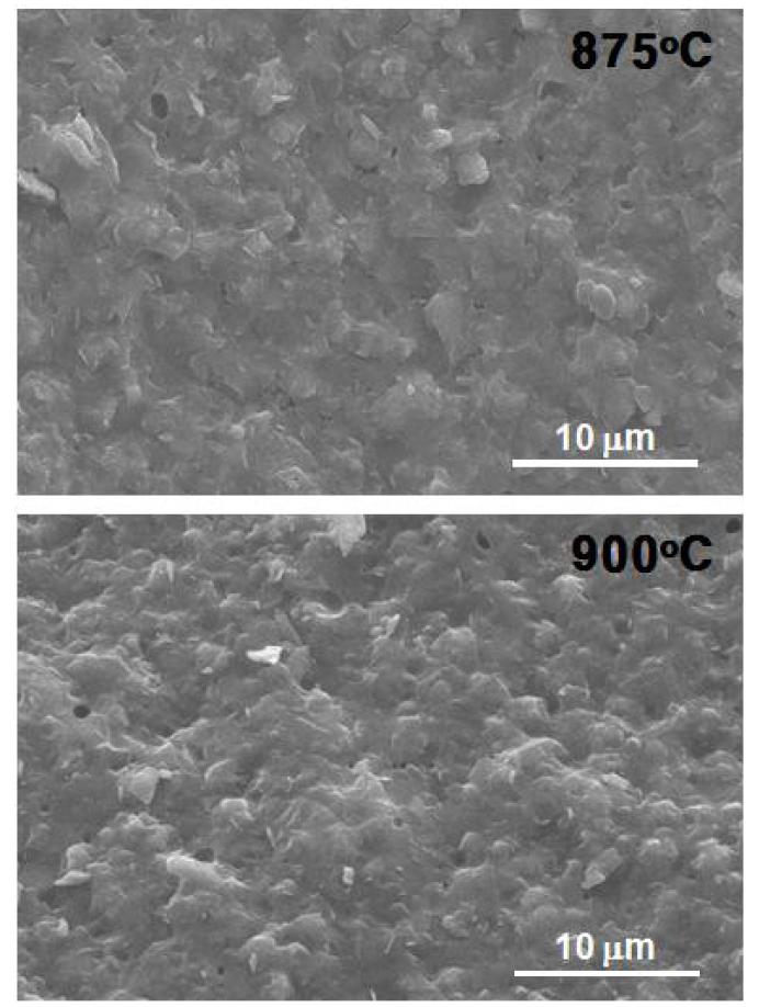 SEM micrographs of the fractured surface of the CMK-6B sintered for 1 h at 875oC and 900oC, respectively.
