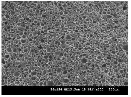 Typical microstructure of microcellular ceramics fabricated from a polysiloxane and expandable microspheres.