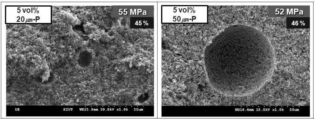 Effect of template size on the microstructure of microcellular SiC ceramics sintered at 1750℃ for 2 h in N2.
