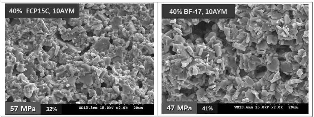 Effect of SiC source on the microstructure of microcellular SiC ceramics sintered at 1900℃ for 2 h in Ar.