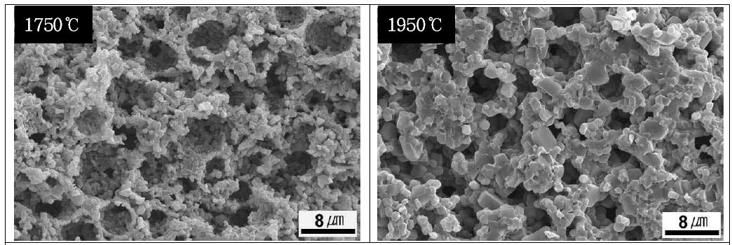 Effect of sintering temperature on the microstructure of microcellular SiC ceramics (PBSC) sintered at 1750oC and 1950oC for 2 h in Ar.