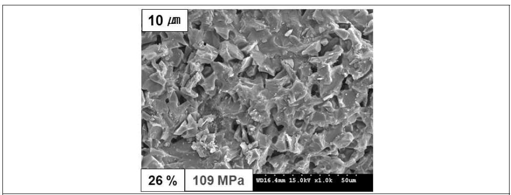The microstructure of microcellular SiOC-bonded SiC ceramics sintered at 800℃ for 1 h in N2.