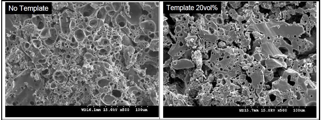 Effect of template content on the microstructure of CL tile bodies sintered at 700oC for 1 h in air.