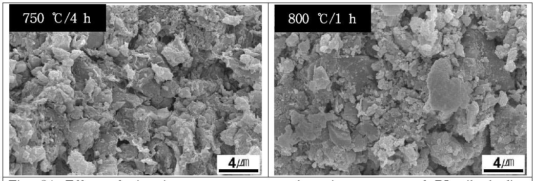 Effect of sintering temperature on the microstructure of DL tile bodies sintered at various conditions in air.