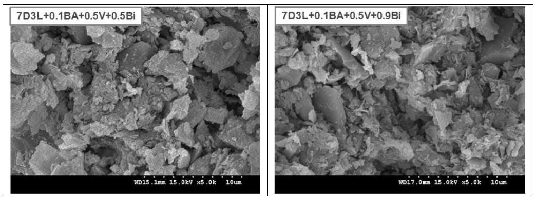 Effect of additive composition on the microstructure of porous tile bodies sintered at 950oC for 20 min in air.