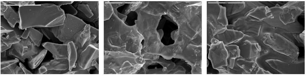 SEM images of porous SiC ceramics sintered at 1700℃ for 3h: (a) content of Si 10wt%, (b) content of Si 20wt%, (c) content of Si 30wt%