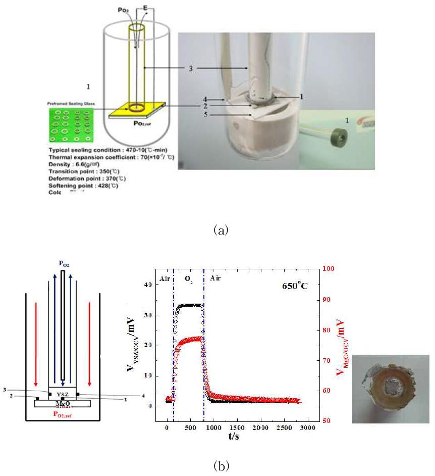 (a) experimental set up for OCV measurement and (b) OCV of MgO substrate