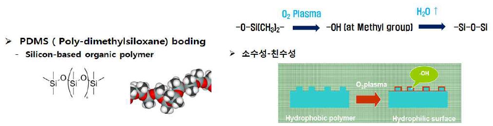 PDMS 웨이퍼 bonding