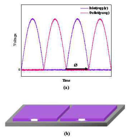 Schematic of operating principle for dual actuation micropump;