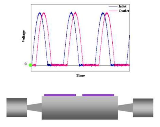 Operation of the valveless dual actuation micropump.