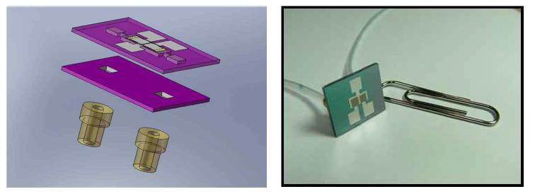 The schematic and real image of dual actuation micropump