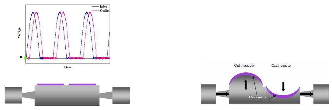 Dual actuation micro-pump