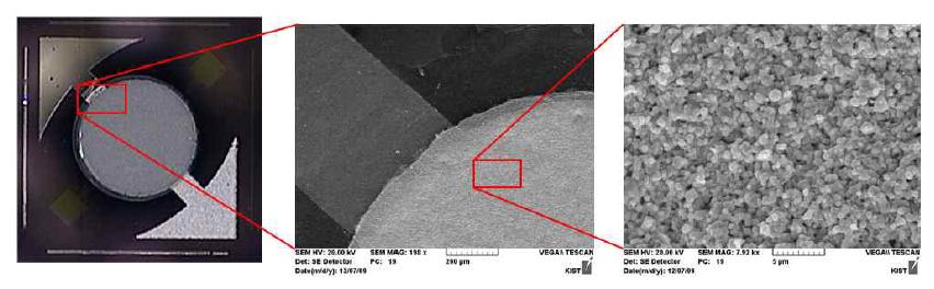 5 mm x 5 mm로 제작된 micro-pump의 표면 SEM 사진