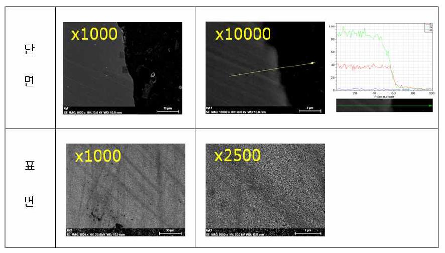 SUS상의 표면개질 층의 SEM/EDX 분석 결과
