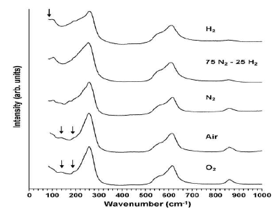 산소, 공기, 질소, 75%질소 -25%수소, 수소 분위기에서 소결한 (K0.5Na0.5)NbO3 소결체의 Dispersive Raman spectra