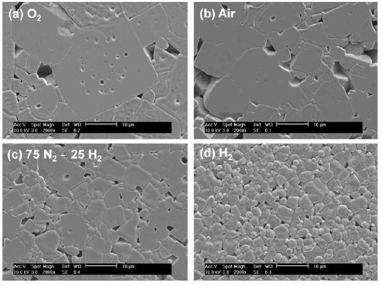 1100°C 3시간 동안 (a)O2, (b)air, (c)75N2-25H2(mol%) 그리고 (d)H2 분위기에서 소결한 KNN 세라믹스의 SEM 이미지