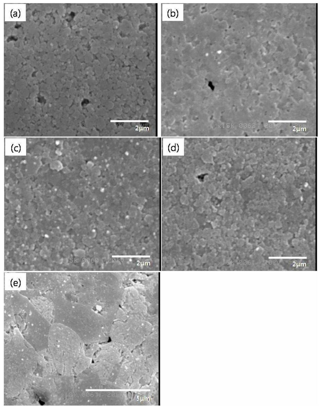 Microstructures of Ba(Ti0.965Re0.03Mn0.005)O3-δ system doped with : (a)Yb, (b)Er, (c)Y, (d)Ho and (e)Dy.
