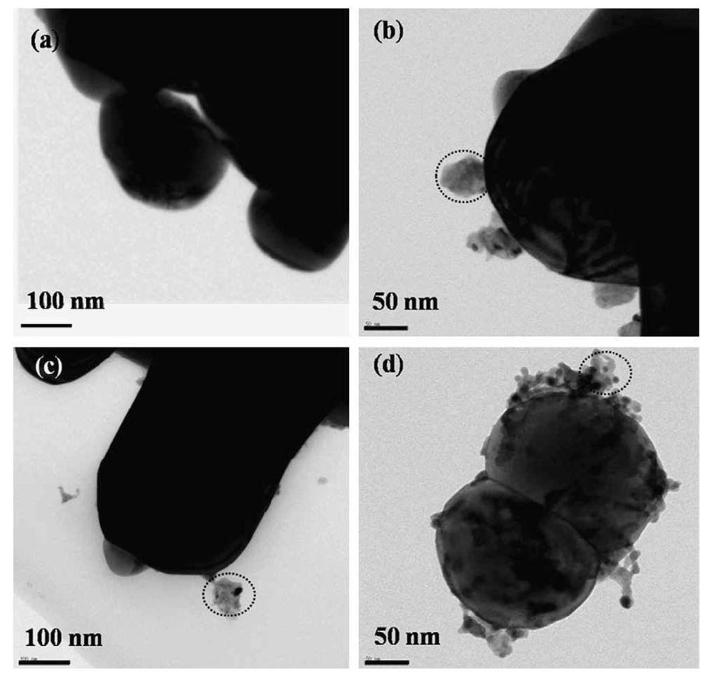 TEM images of the coated particles: (a)BaTiO3 powder as received, (b) Sm-coated BaTiO3 powder, (c) Ho-coated BaTiO3 powder and (d) Yb-coated BaTiO3 powder.