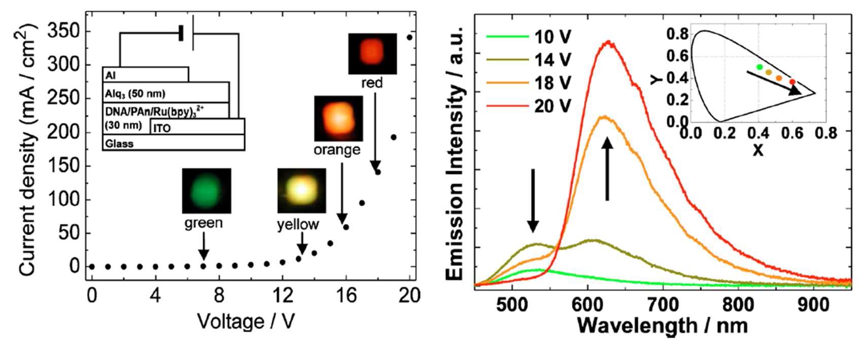 DNA를 이용한 화합물의 정공 수송 및 적색 발광 특성을 이용하여 색상 조절이 가능한 유기발광소자의 전류-전압 특성(왼쪽)과 발광 파장 특성(오른쪽)