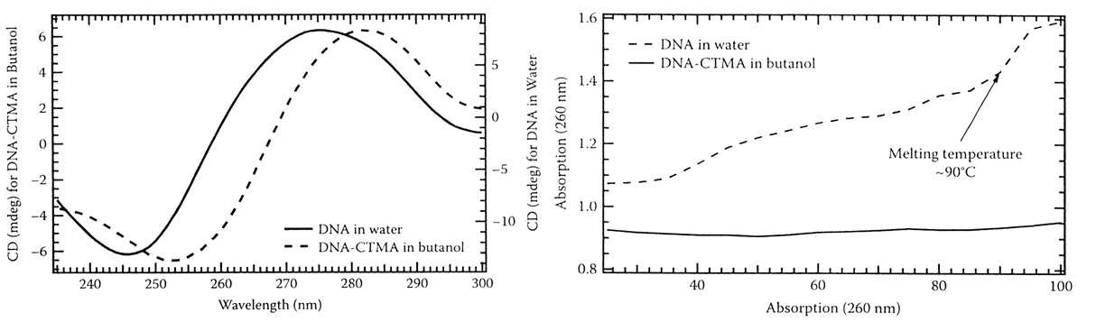 물과 부탄올에 녹아있는 DNA(-CTMA)의 상온 CD 및 흡수 스펙트럼