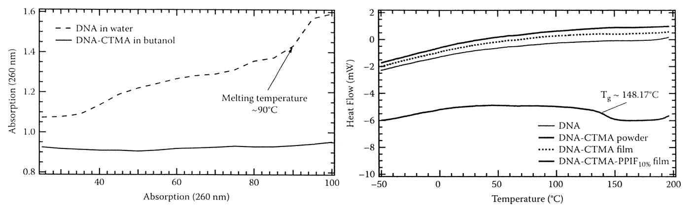 DNA의 Thermogravimetric analysis (TGA)와 differential scanning calorimetry (DSC) 스펙트럼