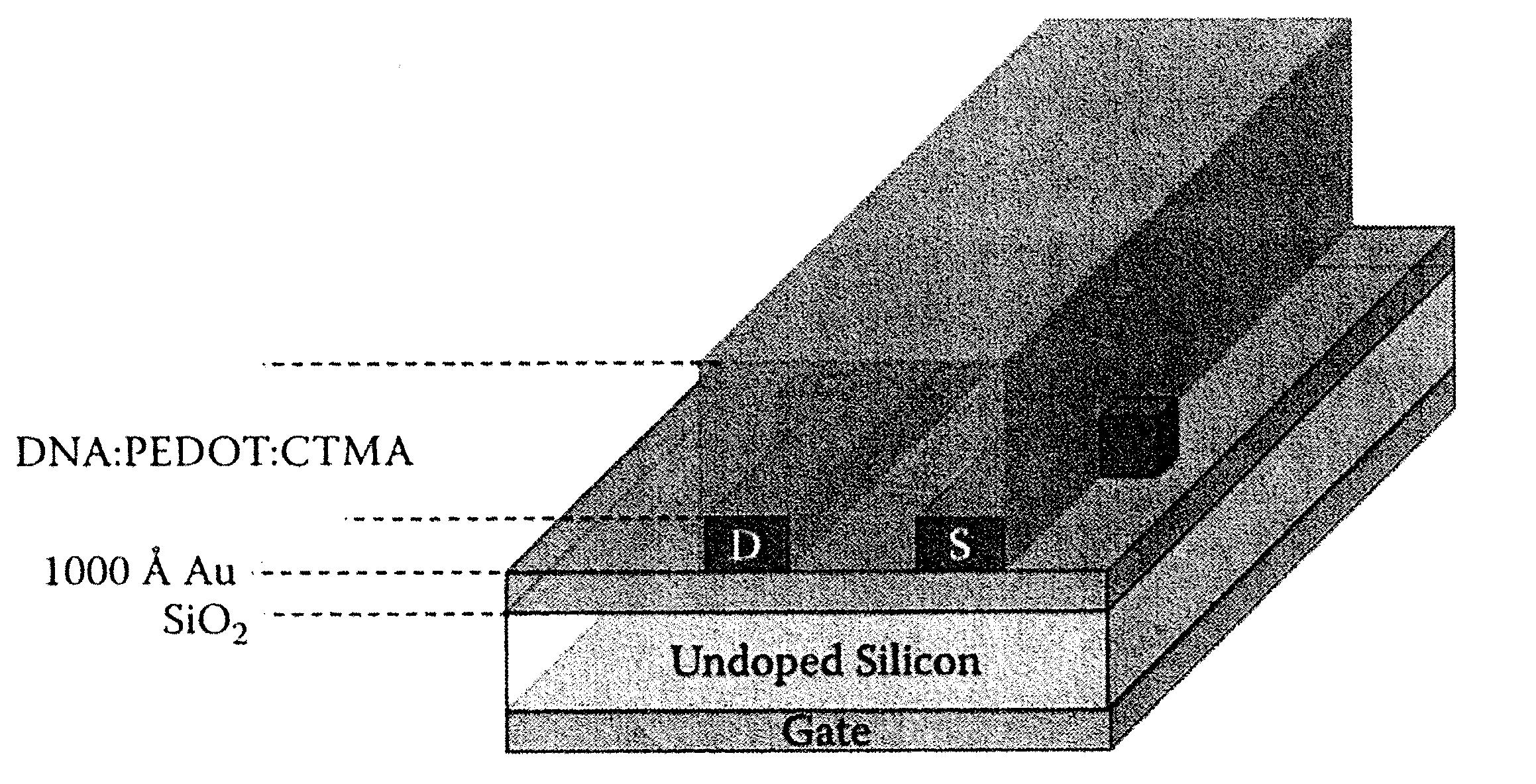 DNA-CTMA 기반의 전계효과 트랜지스터의 구조